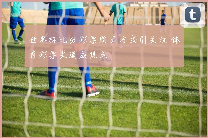 世界杯比分彩票购买方式引关注 体育彩票渠道成焦点