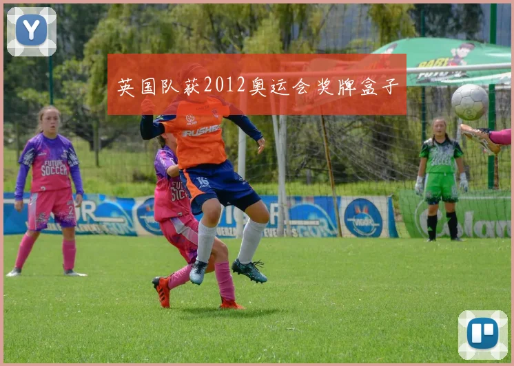 英国队获2012奥运会奖牌盒子