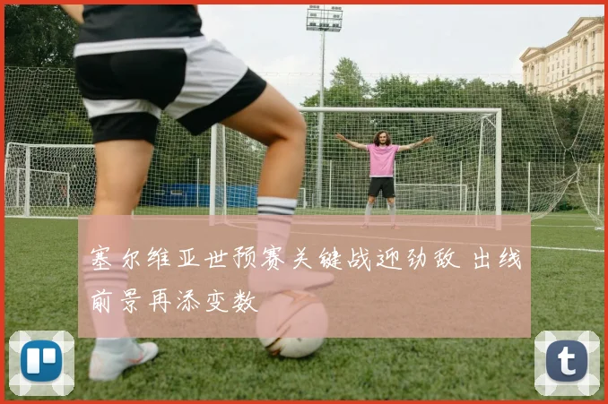 塞尔维亚世预赛关键战迎劲敌 出线前景再添变数