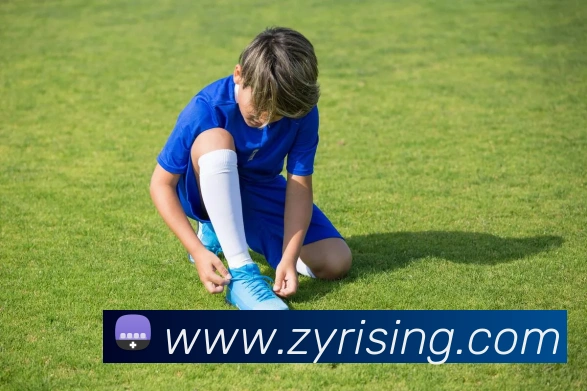 爱游戏ayx在线登录平台生态图